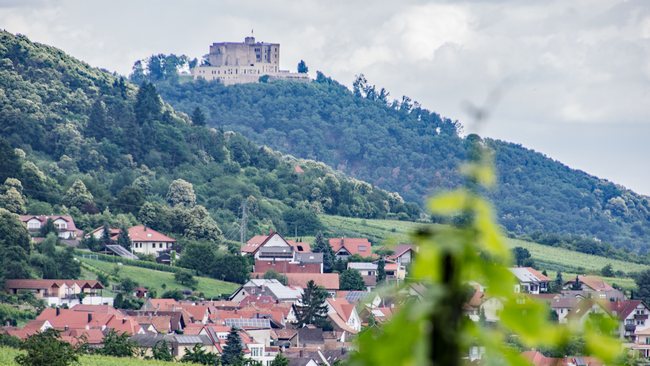 Blick auf das Hambacher Schloss hoch über St. Martin